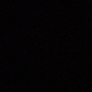 Meet your Posher, Wesley